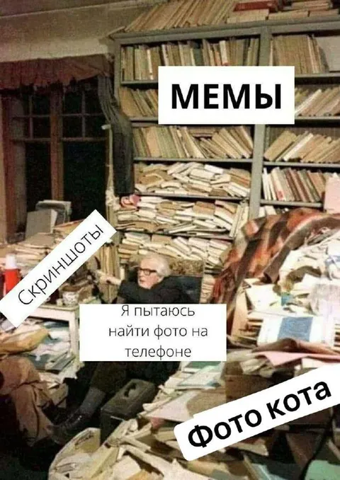 Поиск фото кота среди мемов