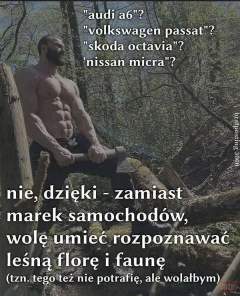 Rozpoznawanie flory zamiast samochodów