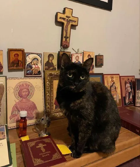Black Cat at the Prayer Book