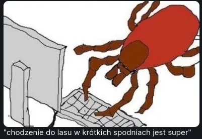 Chodzenie do lasu w krótkich spodniach