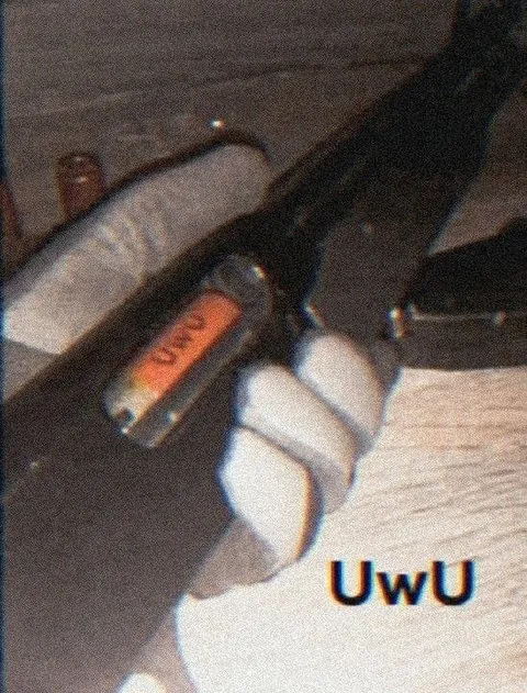 Gun Says UwU