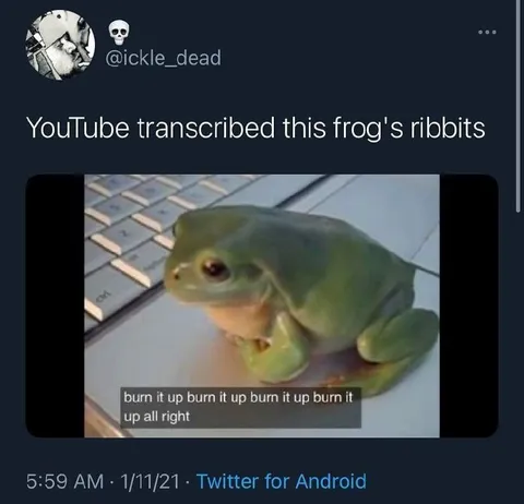 YouTube Transcribes Frog Ribbitts