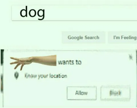 Dog Wants Your Location