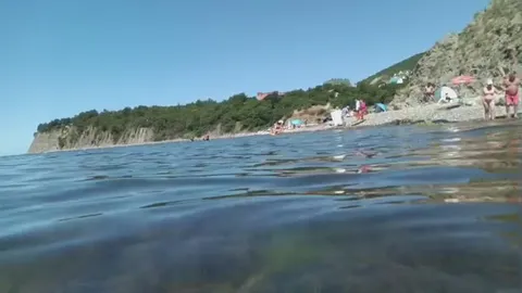 Море мечты и подводные водоросли