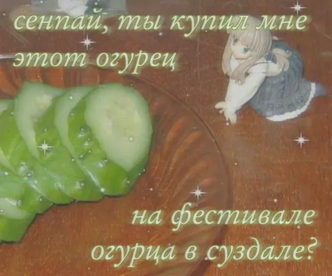 Огурец с фестиваля в Суздале