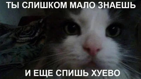Ты слишком мало знаешь