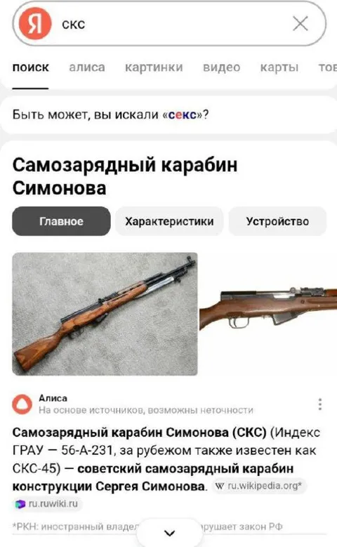 Когда искал секс, а нашёл СКС