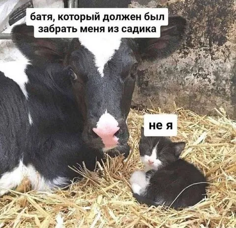 Батя забирает из садика