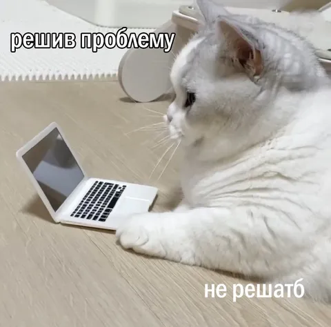 Кот решает проблему