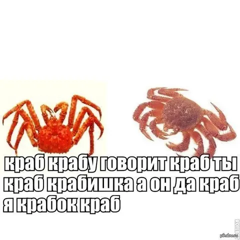 Краб крабу говорит