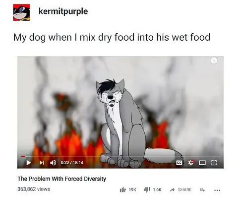 Dog Gets Mixed Wet Food