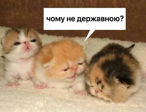 Чому не державную?