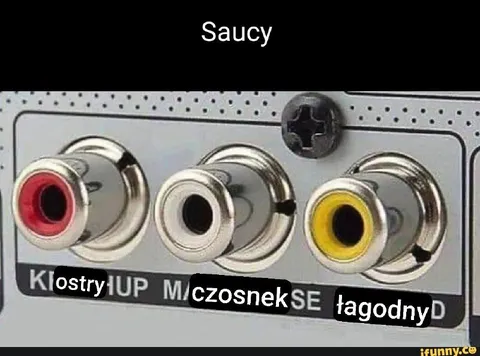 Sosowe gniazda RCA