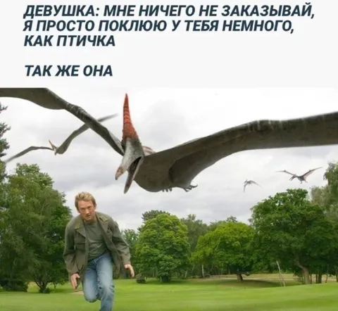 Как птичка напала на девушку