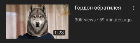 Гордон обратился к волкам