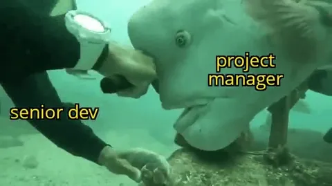 Project Manager Takes the Tool