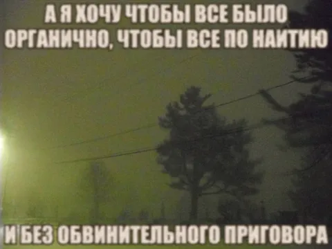 Всё по наитию