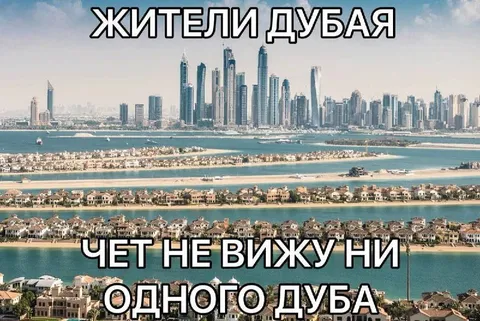 Жители Дубая не видят дубов
