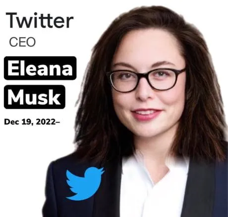 Eleana Musk Becomes Twitter CEO