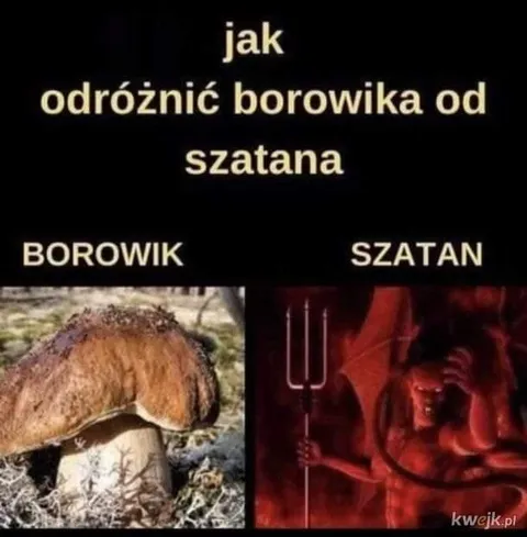 Jak odróżnić borowika od szatana