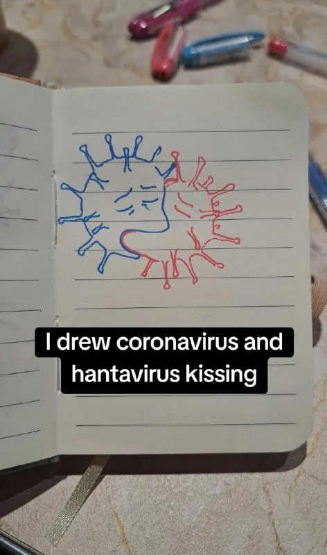 Coronavirus and Hantavirus Kissing