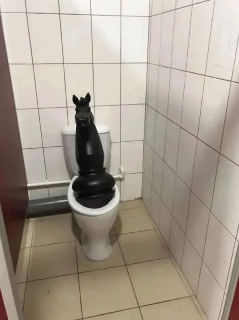 Гигантская куча в туалете