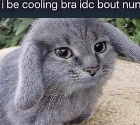 I Be Cooling Cat