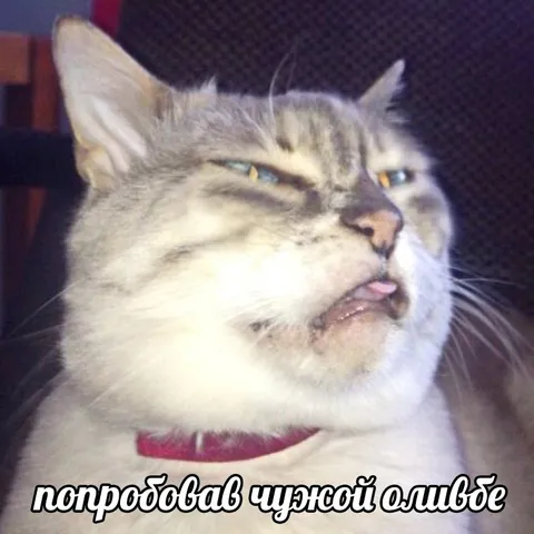 Попробовал чужой оливье