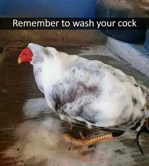Remember to Wash Your Cock