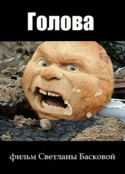 Голова Светланы Басковой