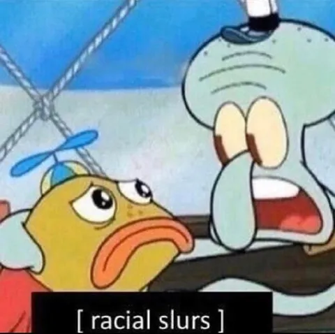 Racial Slurs Reaction