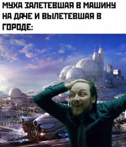 Муха вылетела в городе