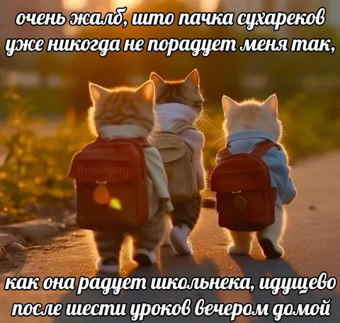 Котята идут домой после уроков
