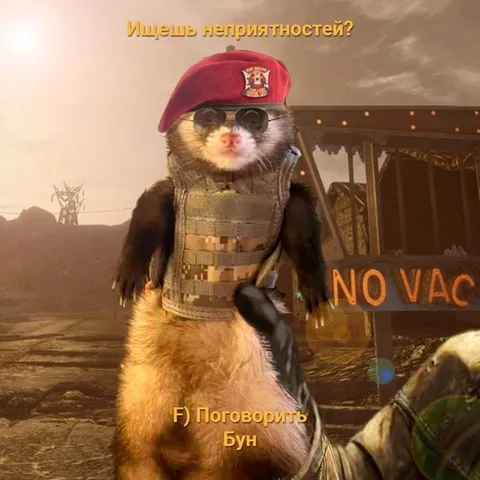Хорёк ищет неприятностей