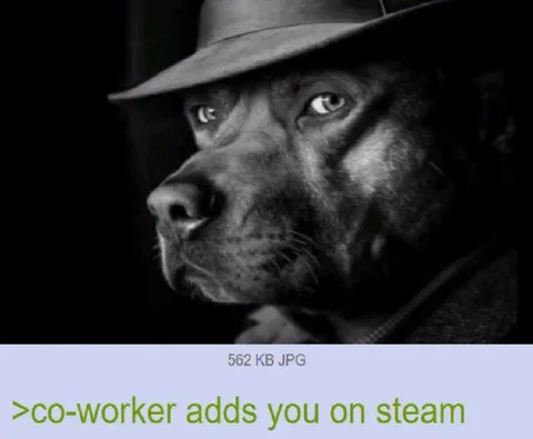 Co-worker Adds You on Steam