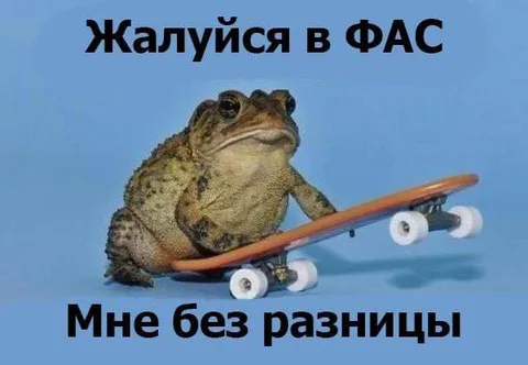 Жаба на скейтборде безразлична