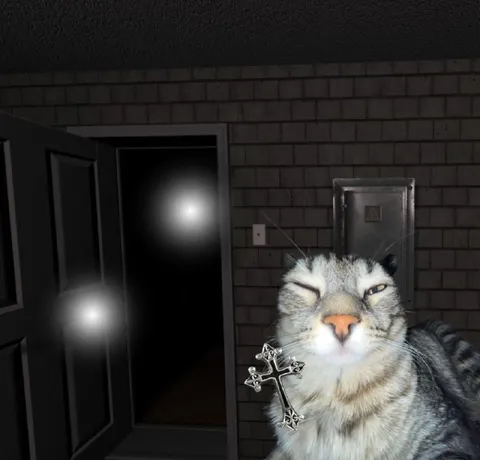 Кот из тёмного подъезда