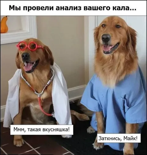 Анализ собачьего кала