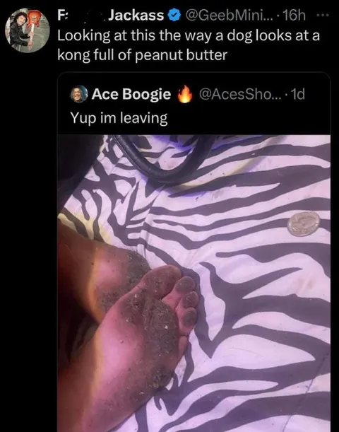 Dog Looking at Peanut Butter Kong