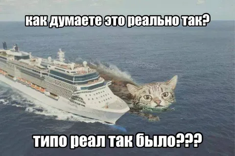 Корабль с головой кота