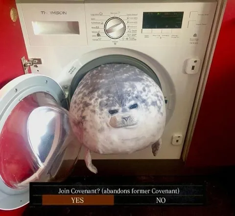 Seal Joins the Covenant
