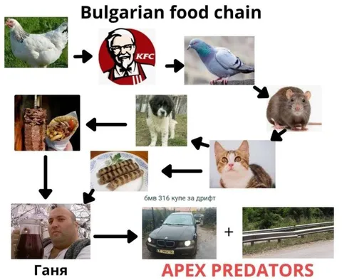 Българска хранителна верига