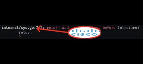 Cisco Caused the Go Lint Error