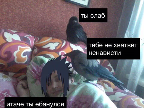 Тебе не хватвет ненависти