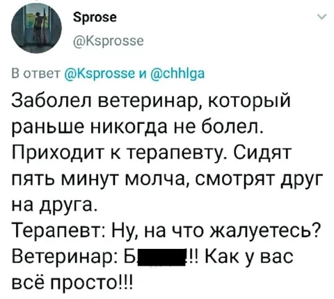 Ветеринар у терапевта