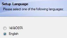 Setup Language Selection