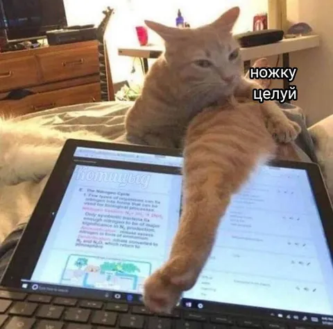 Ножку целуй