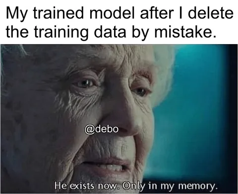 Trained Model Exists Only in Memory