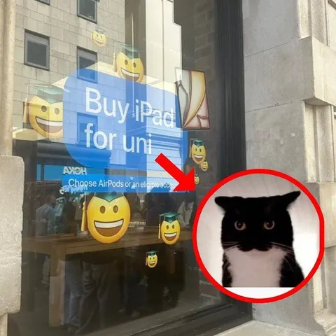 Cat Rejects iPad Promotion