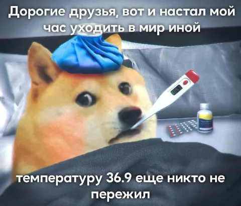Доже с температурой 36.9